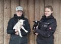 Tierpark Finsterwalde 
