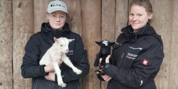 Tierpark Finsterwalde 