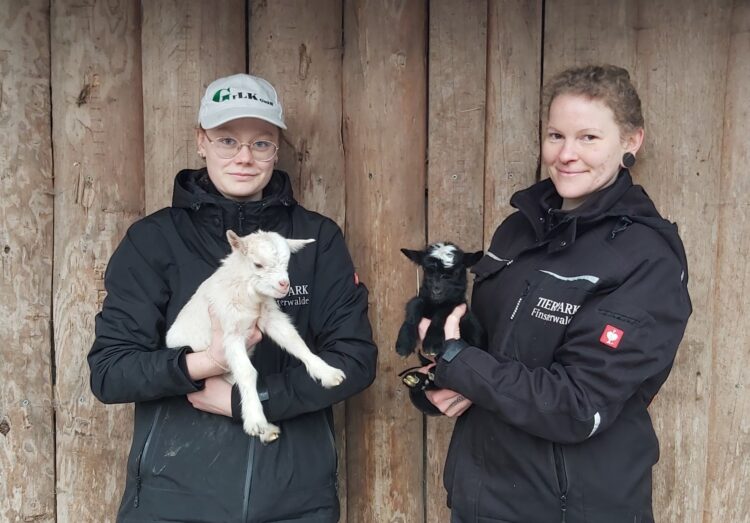 Tierpark Finsterwalde 