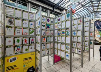 Votingstart für Lausitzer Taschenmonster in Spree Galerie Cottbus
