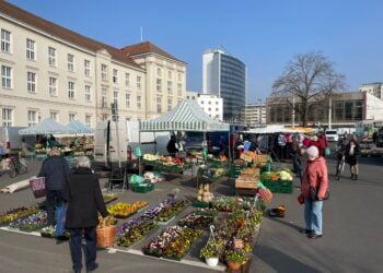 Cottbuser Wochenmarkt ab sofort auch wieder auf dem Post-Parkplatz