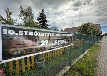 10. Höfetrödel in Cottbus-Ströbitz