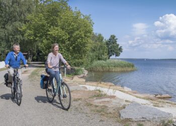 Tourismusverband Lausitzer Seenland e.V.