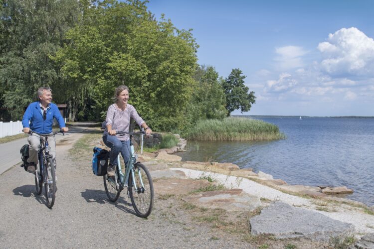 Tourismusverband Lausitzer Seenland e.V.