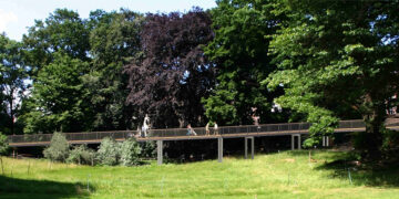 Tierpark Görlitz 