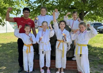 Bild: KSC ASAHI Spremberg