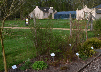 Branitzer Baumuni in Cottbus als Botanischer Garten anerkannt