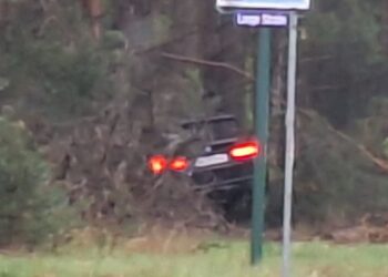 Bild: Blaulichtreport Lausitz