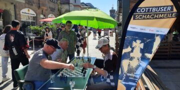 Citymanagement