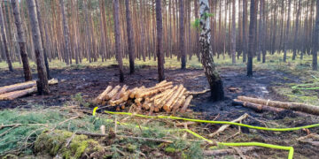 Waldbrand in Schiebsdorf; Foto: Blaulichtreport Lausitz