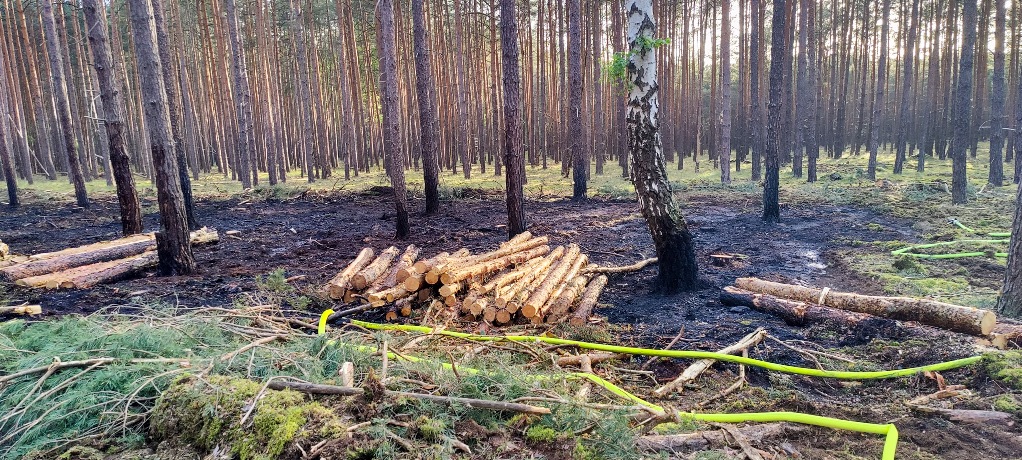 Waldbrand in Schiebsdorf; Foto: Blaulichtreport Lausitz