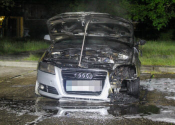 PKW Brände in Cottbus; Foto: Blaulichtreport Lausitz