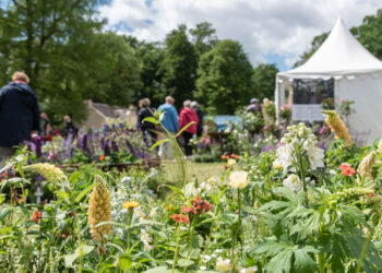 Blütenmeer & Gartenzauber: Gartenfestival im Branitzer Park steht bevor