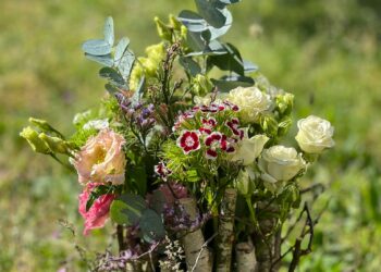Floristischer Workshop mit Corina Schulz im Park & Schloss Branitz