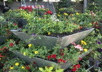 Sommerlich-buntes Finsterwalde: Wirtschaftshof beginnt mit Bepflanzung