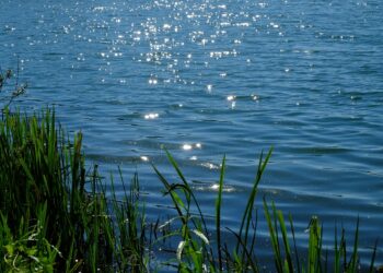 Badesaison startet! Gute Wasserqualität für Großsee & Deulowitzer See
