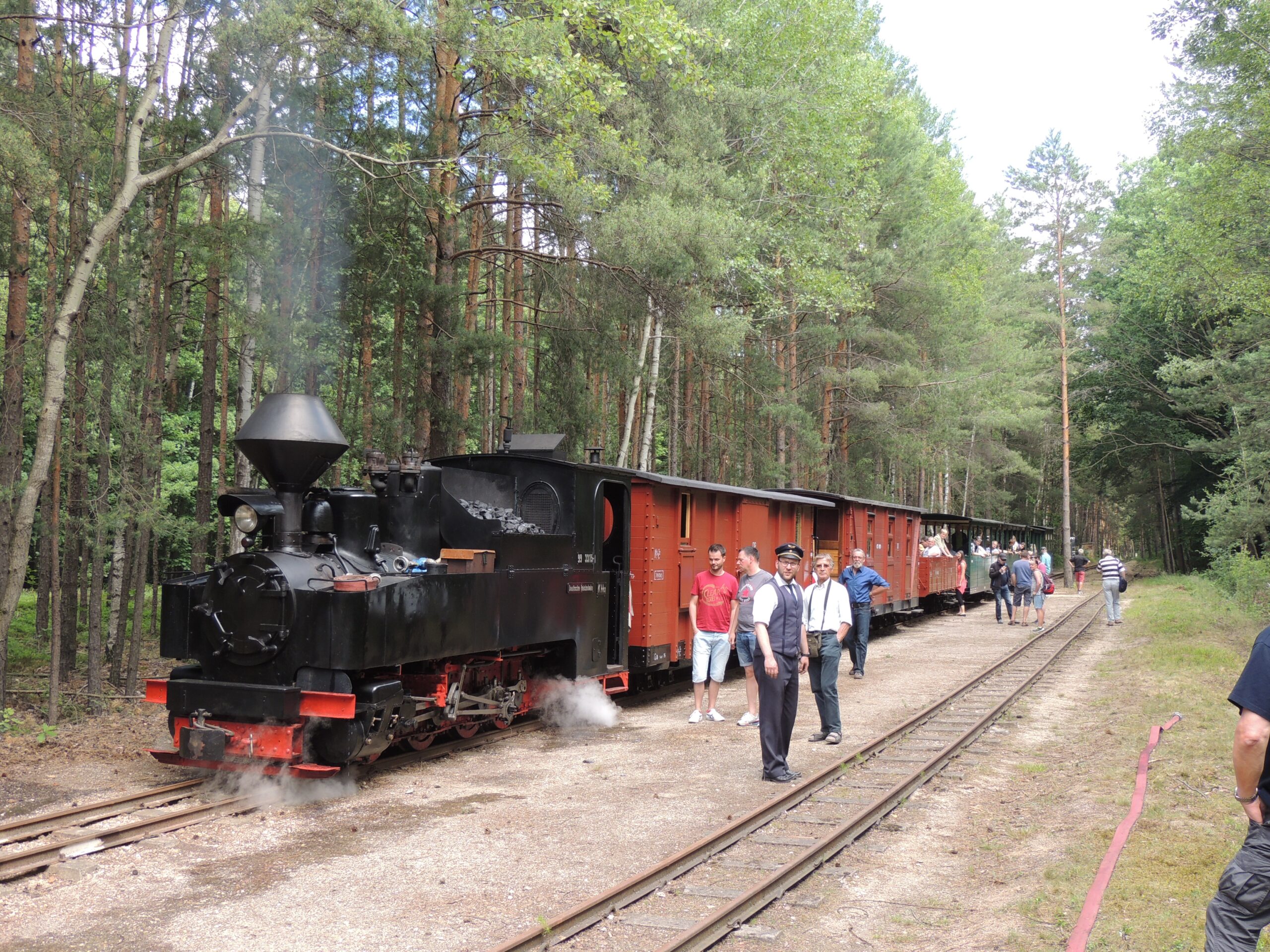 Waldeisenbahn Muskau