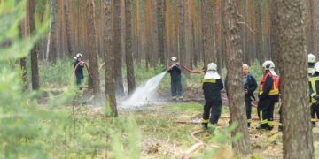 Bild: Blaulichtreport Lausitz