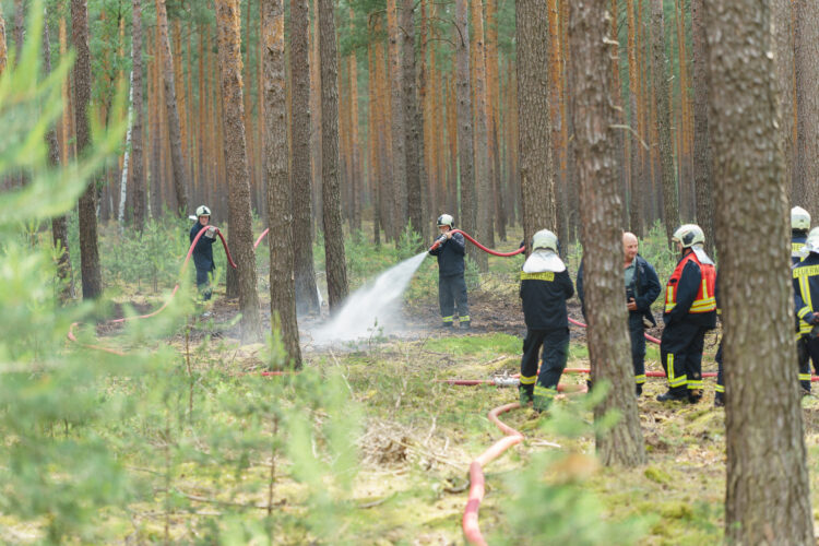 Bild: Blaulichtreport Lausitz