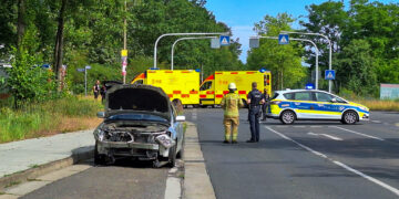 Bild: Blaulichtreport Lausitz