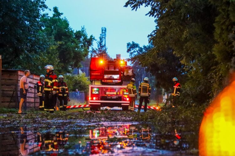 Bild: Blaulichtreport Lausitz