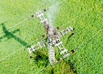 Seeadlernest bei Groß Schacksdorf brannte, Blaulichtreport Lausitz