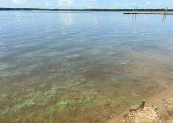 Landkreis Spree-Neiße