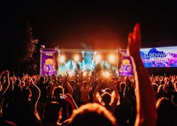 Elbenwald Festival 2024 in Cottbus. Erster Programmausblick & Neues