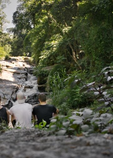 Georg Zielonkowski