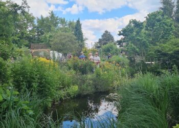 Kreisvolkshochschule LKEE 