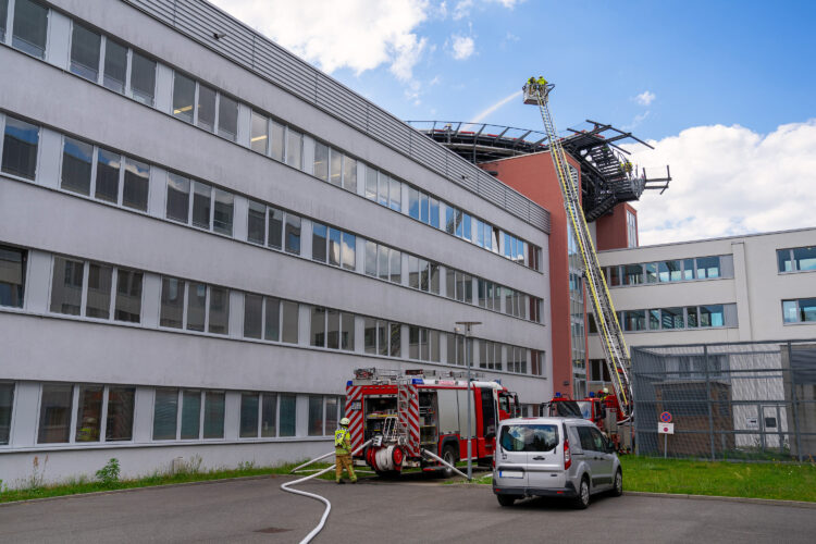 Bild: Martin Ender / CTK