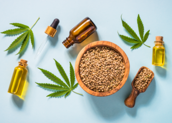 Der Indoor-Cannabisanbau von Anfang an. Der Ratgeber für Neulinge