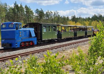 Waldeisenbahn Muskau 