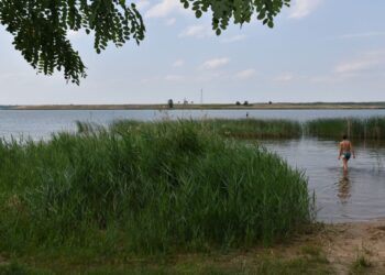 Start der Badesaison: Ausgezeichnete Wasserqualität in Spree-Neiße-Seen