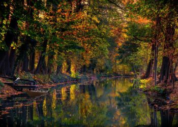 Urlaub in der Niederlausitz: Natur, Kultur und Erholung