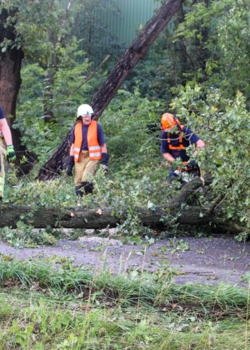 Unwetterschäden in Cottbus. Tornado in Sielow? Feuerwehr im Dauereinsatz; Blaulichtreport Lausitz