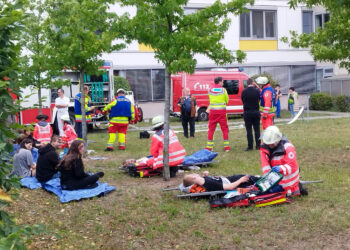 Bild: Blaulichtreport Lausitz