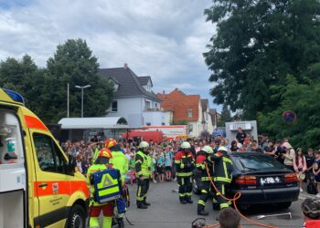 Bild: Blaulichtreport Lausitz