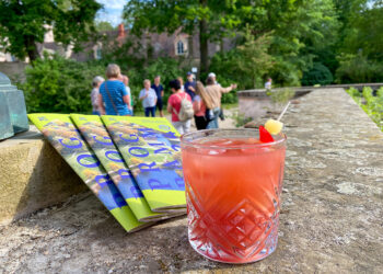 After-Work-Führung im Branitzer Park: Umweltschäden im Fokus