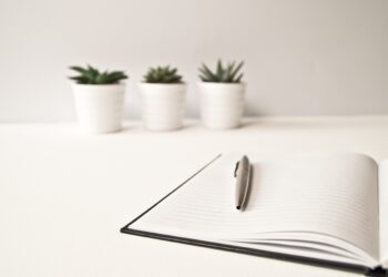 Unterschiede zwischen Handelsregisterauszug und Gewerbeanmeldung