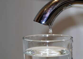 Wasser sparen im Haushalt – mit diesen Tipps gelingt es