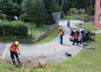 Bild: Blaulichtreport Lausitz