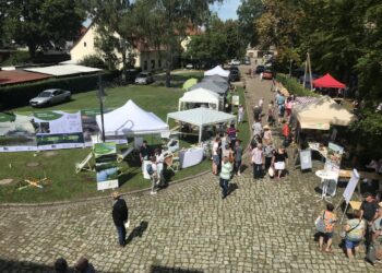 Naturwelt Lieberoser Heide GmbH