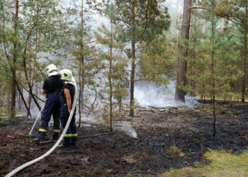 Einsatz bei Preschen: Feuerwehr löscht zwei Brände im Wald