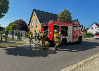 Bild: Blaulichtreport Lausitz