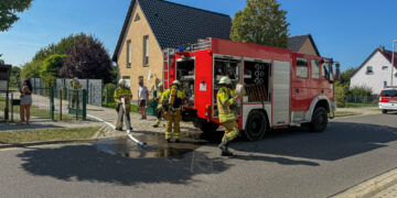 Bild: Blaulichtreport Lausitz