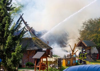 Hilfe für den Biberhof in Burg: Spendenaufruf nach verheerendem Brand