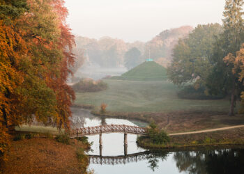 Christiane Seifenbaum 
