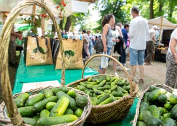 Spreewälder Gurkentag begeistert 5.000 Besucher im Schlosspark Golßen