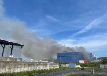 Niederlehme: Brand in Abfallbetrieb. Löscheinsatz bei Großschadenslage